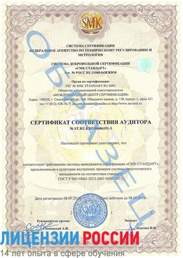 Образец сертификата соответствия аудитора №ST.RU.EXP.00006191-3 Нерюнгри Сертификат ISO 50001